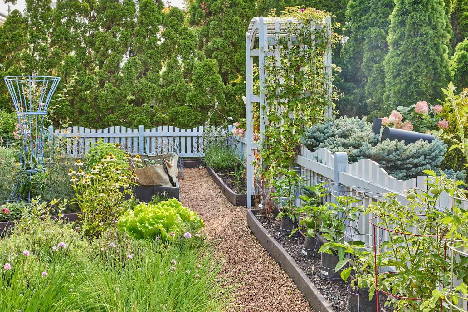 FORBES LANDSCAPE: Strategic Site Planning & Functional Layouts