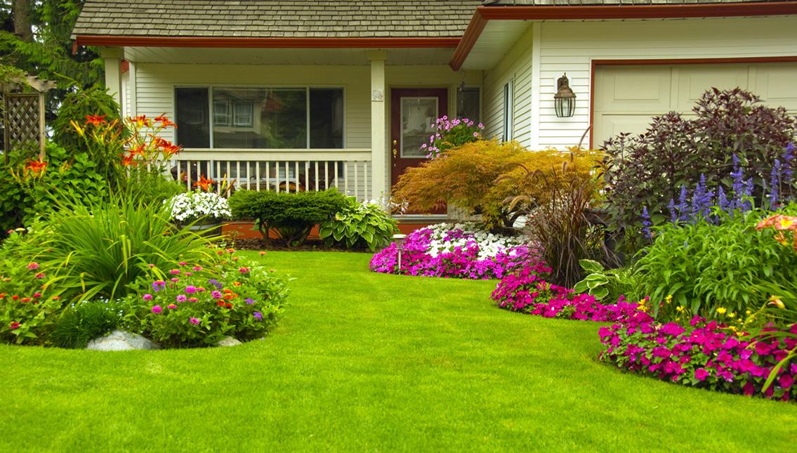 FORBES LANDSCAPE: Lush Lawns, Vibrant Greening & Sustainable Planting