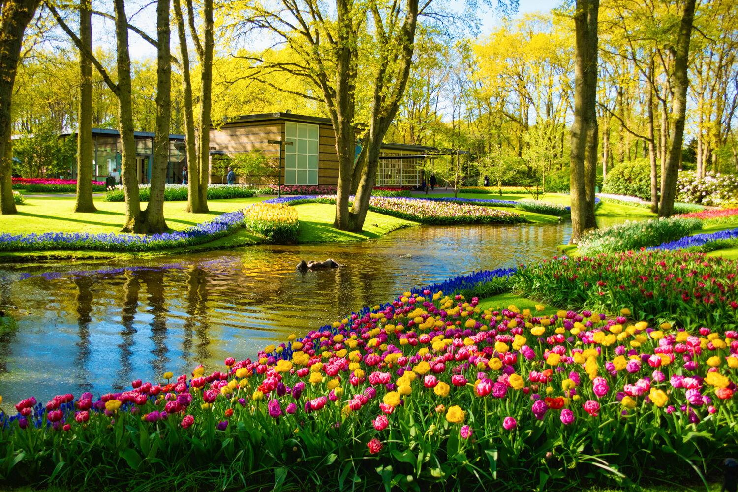 FORBES LANDSCAPE: Exquisite Plantings, Hedges & Floral Artistry